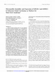 Research paper thumbnail of Microsatellite Instability and Expression of hMLH-1 and hMSH-2 in Sebaceous Gland Carcinomas as Markers for Muir-Torre Syndrome 1