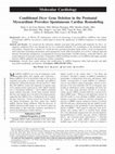 Research paper thumbnail of Conditional dicer gene deletion in the postnatal myocardium provokes spontaneous cardiac remodeling. Circulation 2008