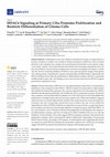 Research paper thumbnail of HDAC6 Signaling at Primary Cilia Promotes Proliferation and Restricts Differentiation of Glioma Cells