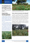 Research paper thumbnail of Establishing pastures rich in legumes - A instalação de pastagens ricas em leguminosas