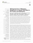 Research paper thumbnail of Widespread Use of Migratory Megafauna for Aquatic Wild Meat in the Tropics and Subtropics