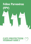 Research paper thumbnail of Feline Parvovirus