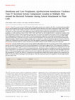 Research paper thumbnail of Type IV Secretion System Components Localize to Multiple Sites around the Bacterial Perimeter during Lateral Attachment to Plant