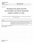 Research paper thumbnail of Biological hot spots and the accumulation of marine dissolved organic matter in a highly productive ocean margin