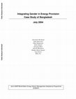 Research paper thumbnail of Joint UNDP/World Bank Energy Sector Management Assistance Programme