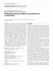 Research paper thumbnail of Relationship among fecal coliforms and Escherichia coli in various foods