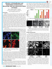 Research paper thumbnail of Effective Cell Identification and Segmentation in Fluorescence Microscopy with New Fluorescent Whole Cell Stains