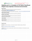 Research paper thumbnail of Stability and G × E Analysis of Oil Yield of Sunflower Single Cross Hybrids In Diverse Environments