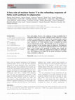 Research paper thumbnail of A key role of nuclear factor Y in the refeeding response of fatty acid synthase in adipocytes