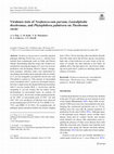 Research paper thumbnail of Virulence tests of Neofusicoccum parvum, Lasiodiplodia theobromae, and Phytophthora palmivora on Theobroma cacao