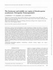 Research paper thumbnail of The braincase and middle ear region of Dendrerpeton acadianum (Tetrapoda: Temnospondyli)