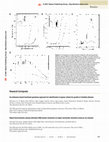 Research paper thumbnail of Rapid discrimination among individual DNA hairpin molecules at single-nucleotide resolution using an ion channel