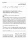 Research paper thumbnail of Overlap Between Industrial Niching and Workplace Segregation: Role of Immigration Policy, Culture and Country of Origin