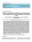 Research paper thumbnail of Effects of streptozotocin diabetes on the ultrastructure of astrocytes in the cervical enlargement of rat spinal cord