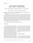 Research paper thumbnail of Small Bronchiolar Histopathological Changes Related to Prolonged Diabetes