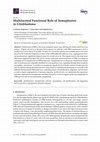 Research paper thumbnail of Multifaceted Functional Role of Semaphorins in Glioblastoma