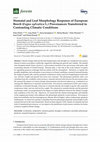 Research paper thumbnail of Stomatal and Leaf Morphology Response of European Beech (Fagus sylvatica L.) Provenances Transferred to Contrasting Climatic Conditions