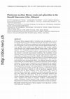 Research paper thumbnail of Pleistocene sea-floor fibrous crusts and spherulites in the Danakil Depression (Afar, Ethiopia)