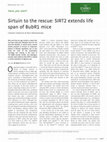 Research paper thumbnail of Sirtuin to the rescue: SIRT2 extends life span of BubR1 mice