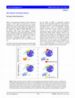 Research paper thumbnail of SIRT1 Activators: The Evidence STACks up