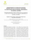 Research paper thumbnail of Comportamiento de forrajeo en nutrias gigantes (Pteronura brasiliensis) estudio de caso en Santa Rosa de Sapuara, departamento de Guainía, Colombia