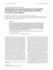 Research paper thumbnail of Identification and characterization of 15 polymorphic microsatellite loci in the western drywood termite, Incisitermes minor (Hagen)