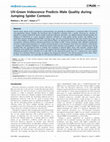 Research paper thumbnail of UV-Green Iridescence Predicts Male Quality during Jumping Spider Contests