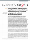 Research paper thumbnail of Global metabolic analyses identify key differences in metabolite levels between polymyxin-susceptible and polymyxin-resistant Acinetobacter baumannii