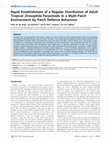 Research paper thumbnail of Rapid Establishment of a Regular Distribution of Adult Tropical Drosophila Parasitoids in a Multi-Patch Environment by Patch Defence Behaviour