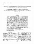 Research paper thumbnail of Pathogenicity and immunogenicity of Paracoccidioides brasiliensis isolates in the human disease and in an experimental murine model