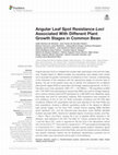 Research paper thumbnail of Angular Leaf Spot Resistance Loci Associated With Different Plant Growth Stages in Common Bean