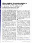 Research paper thumbnail of Agrobacterium type IV secretion system and its substrates form helical arrays around the circumference of virulence-induced cells