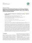 Research paper thumbnail of Protection of the Peritoneal Membrane by Peritoneal Dialysis Effluent-Derived Mesenchymal Stromal Cells in a Rat Model of Chronic Peritoneal Dialysis