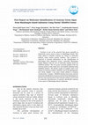 Research paper thumbnail of First Report on Molecular Identification of Caulerpa Green Algae from Mandangin Island Indonesia Using Partial 18SrRNA Genes