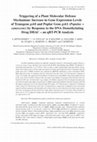 Research paper thumbnail of Triggering of a plant molecular defense mechanism: Increase in gene expression levels of transgene <i>gsh</i> I and poplar gene <i>gsh</i> 1 ( <i>Populus</i> × <i>canescens</i> ) by response to the DNA demethylating drug DHAC — an qRT-PCR analysis