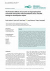 Research paper thumbnail of The Protective Effects of Curcumin on Organophosphate Insecticide Chlorpyrifos-Induced Oxidative Stress and DNA Damage in Oncorhynchus mykiss