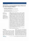 Research paper thumbnail of The Occurrence of Entomopathogenic Fungi on Mineral and Peat Soils in Peninsular Malaysia