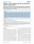 Research paper thumbnail of MutMap+: Genetic Mapping and Mutant Identification without Crossing in Rice