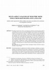 Research paper thumbnail of Análisis multi-aspectual de útiles neolíticos de hueso procedentes del yacimiento 6 de Kopydłowo (Polonia)