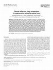 Research paper thumbnail of Neural cells and their progenitors in regenerating zebrafish spinal cord