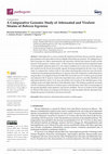 Research paper thumbnail of A Comparative Genomic Study of Attenuated and Virulent Strains of Babesia bigemina