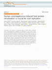 Research paper thumbnail of Human cytomegalovirus-induced host protein citrullination is crucial for viral replication