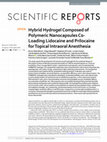 Research paper thumbnail of Hybrid Hydrogel Composed of Polymeric Nanocapsules Co-Loading Lidocaine and Prilocaine for Topical Intraoral Anesthesia