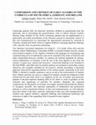 Research paper thumbnail of Comparison and critique of early algebra in the curricula of South Africa, Germany and Ireland