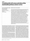 Research paper thumbnail of A multimodal cell census and atlas of the mammalian primary motor cortex