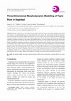 Research paper thumbnail of Three-Dimensional Morphodynamic Modelling of Tigris River in Baghdad