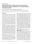 Research paper thumbnail of Abnormal expression of cardiac neural crest cells in heart development: a different hypothesis for the etiopathogenesis of Brugada syndrome