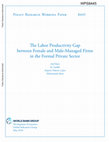 Research paper thumbnail of The Labor Productivity Gap between Female and Male-Managed Firms in the Formal Private Sector