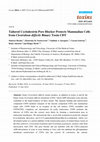 Research paper thumbnail of Article Tailored Cyclodextrin Pore Blocker Protects Mammalian Cells from Clostridium difficile Binary Toxin CDT