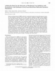 Research paper thumbnail of A Molecular Basis for the Selectivity of Thiadiazole Urea Inhibitors with Stromelysin-1 and Gelatinase-A from Generalized Born Molecular Dynamics Simulations